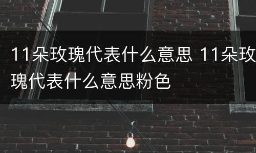 11朵玫瑰代表什么意思 11朵玫瑰代表什么意思粉色
