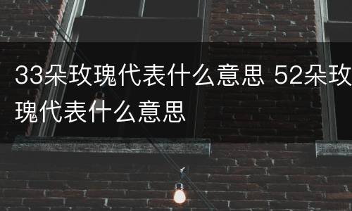 33朵玫瑰代表什么意思 52朵玫瑰代表什么意思