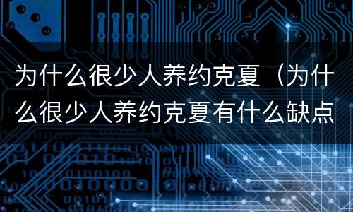 为什么很少人养约克夏（为什么很少人养约克夏有什么缺点）