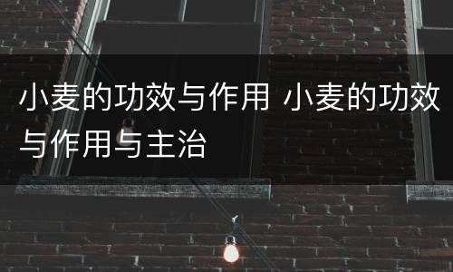 小麦的功效与作用 小麦的功效与作用与主治