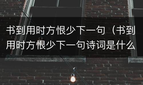 书到用时方恨少下一句（书到用时方恨少下一句诗词是什么拼音）