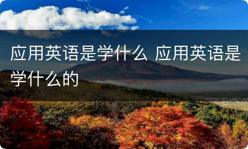 应用英语是学什么 应用英语是学什么的