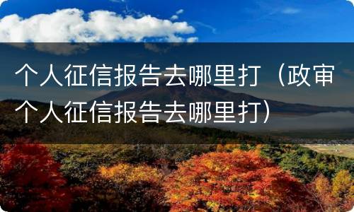个人征信报告去哪里打（政审个人征信报告去哪里打）