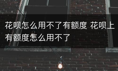 花呗怎么用不了有额度 花呗上有额度怎么用不了