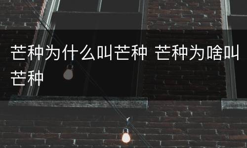 芒种为什么叫芒种 芒种为啥叫芒种