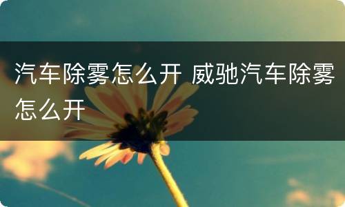 汽车除雾怎么开 威驰汽车除雾怎么开