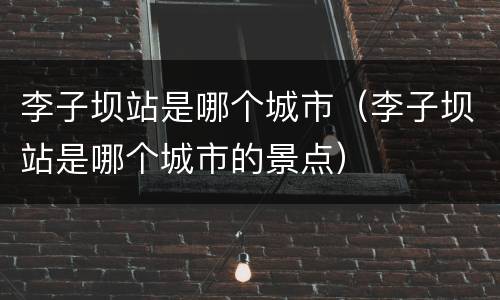 李子坝站是哪个城市（李子坝站是哪个城市的景点）