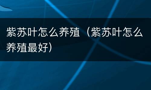 紫苏叶怎么养殖（紫苏叶怎么养殖最好）
