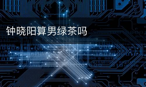 钟晓阳算男绿茶吗