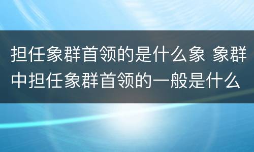 担任象群首领的是什么象 象群中担任象群首领的一般是什么象