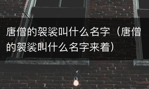 唐僧的袈裟叫什么名字（唐僧的袈裟叫什么名字来着）