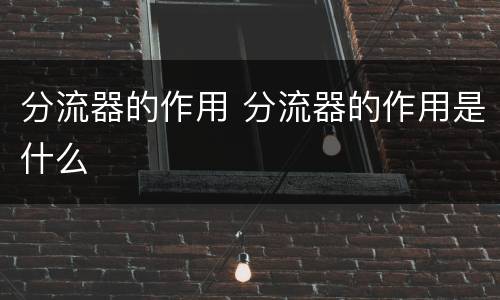 分流器的作用 分流器的作用是什么