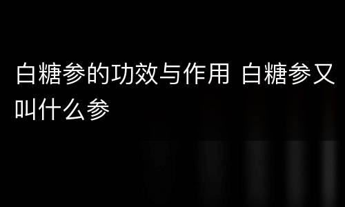 白糖参的功效与作用 白糖参又叫什么参