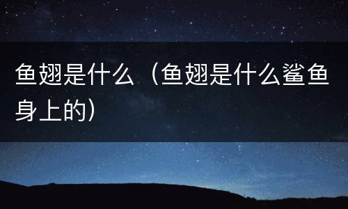 鱼翅是什么（鱼翅是什么鲨鱼身上的）