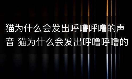 猫为什么会发出呼噜呼噜的声音 猫为什么会发出呼噜呼噜的声音?