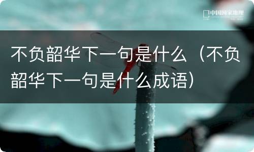 不负韶华下一句是什么（不负韶华下一句是什么成语）