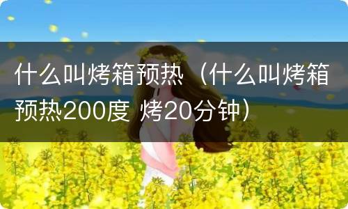 什么叫烤箱预热（什么叫烤箱预热200度 烤20分钟）