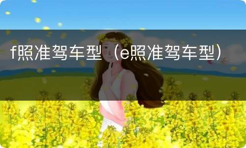 f照准驾车型（e照准驾车型）