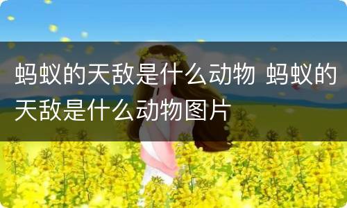 蚂蚁的天敌是什么动物 蚂蚁的天敌是什么动物图片