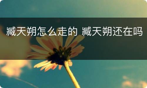 臧天朔怎么走的 臧天朔还在吗