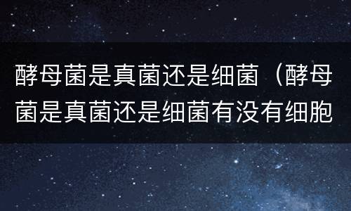 酵母菌是真菌还是细菌（酵母菌是真菌还是细菌有没有细胞核）