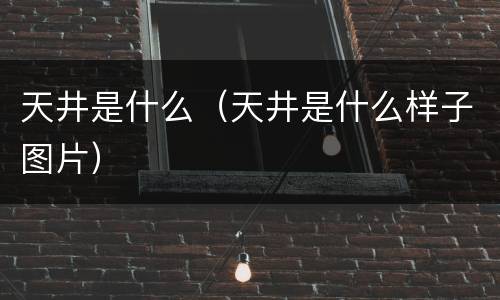 天井是什么（天井是什么样子图片）