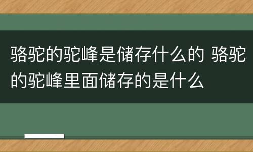 骆驼的驼峰是储存什么的 骆驼的驼峰里面储存的是什么