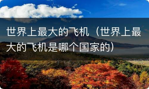 世界上最大的飞机（世界上最大的飞机是哪个国家的）