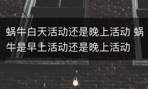 蜗牛白天活动还是晚上活动 蜗牛是早上活动还是晚上活动