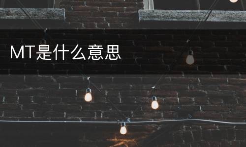 MT是什么意思