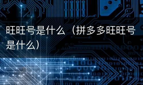 旺旺号是什么（拼多多旺旺号是什么）