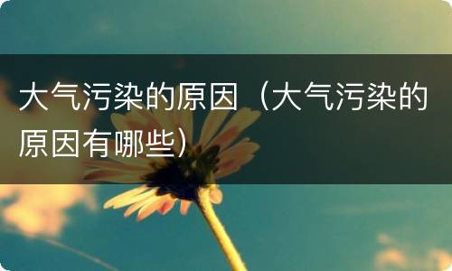 大气污染的原因（大气污染的原因有哪些）