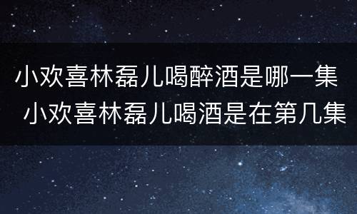小欢喜林磊儿喝醉酒是哪一集 小欢喜林磊儿喝酒是在第几集