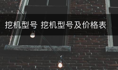 挖机型号 挖机型号及价格表
