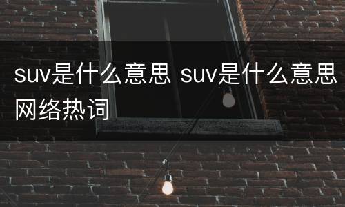 suv是什么意思 suv是什么意思网络热词