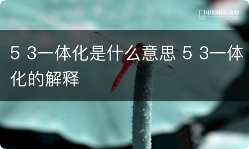 5 3一体化是什么意思 5 3一体化的解释
