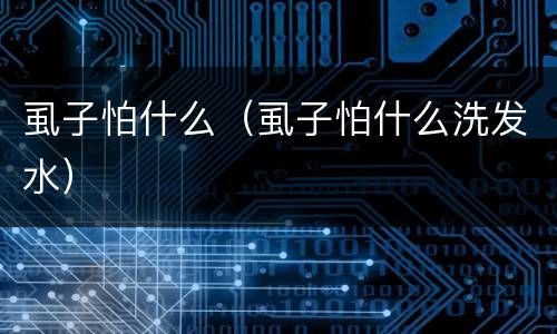 虱子怕什么（虱子怕什么洗发水）