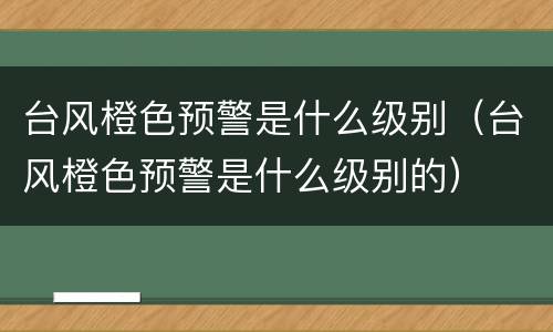 台风橙色预警是什么级别（台风橙色预警是什么级别的）