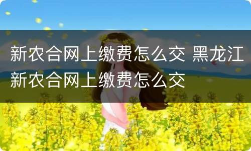 新农合网上缴费怎么交 黑龙江新农合网上缴费怎么交