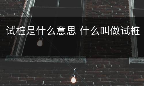 试桩是什么意思 什么叫做试桩