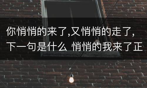 你悄悄的来了,又悄悄的走了,下一句是什么 悄悄的我来了正如我悄悄的走下一句