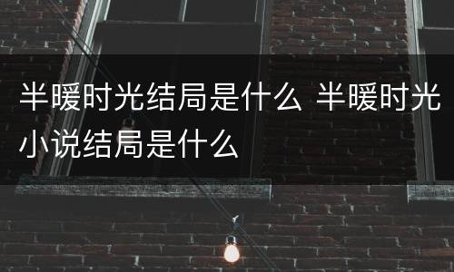 半暖时光结局是什么 半暖时光小说结局是什么