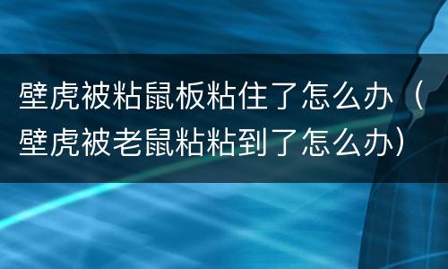 壁虎被粘鼠板粘住了怎么办（壁虎被老鼠粘粘到了怎么办）