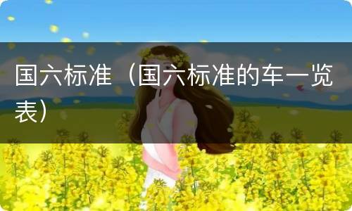 国六标准（国六标准的车一览表）