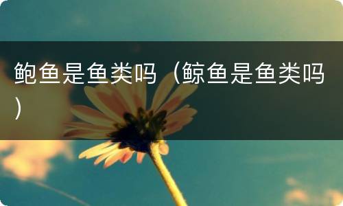 鲍鱼是鱼类吗(鲸鱼是鱼类吗) 鲍鱼是鱼类吗(鲸鱼是鱼类吗)