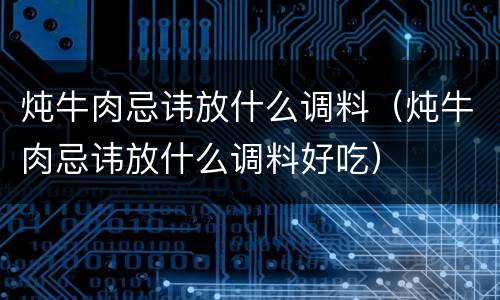炖牛肉忌讳放什么调料（炖牛肉忌讳放什么调料好吃）