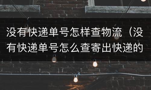 没有快递单号怎样查物流（没有快递单号怎么查寄出快递的物流）