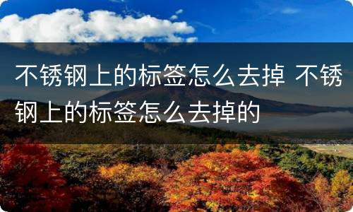 不锈钢上的标签怎么去掉 不锈钢上的标签怎么去掉的