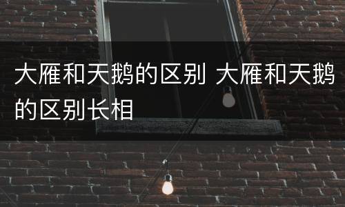 大雁和天鹅的区别 大雁和天鹅的区别长相