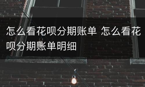 怎么看花呗分期账单 怎么看花呗分期账单明细